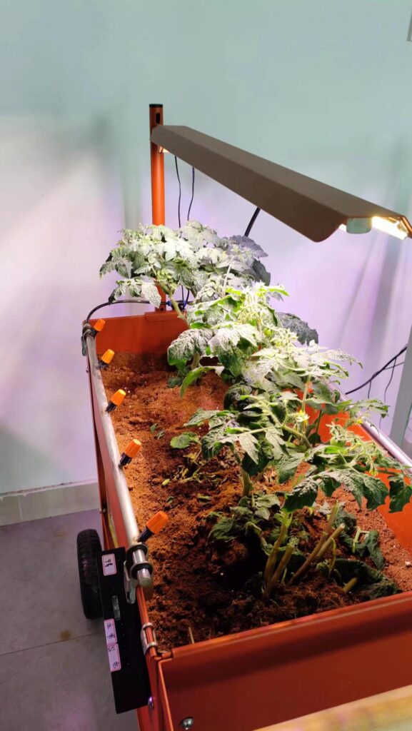 AIoT home and balcony smart plant Application